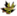 Database Logo